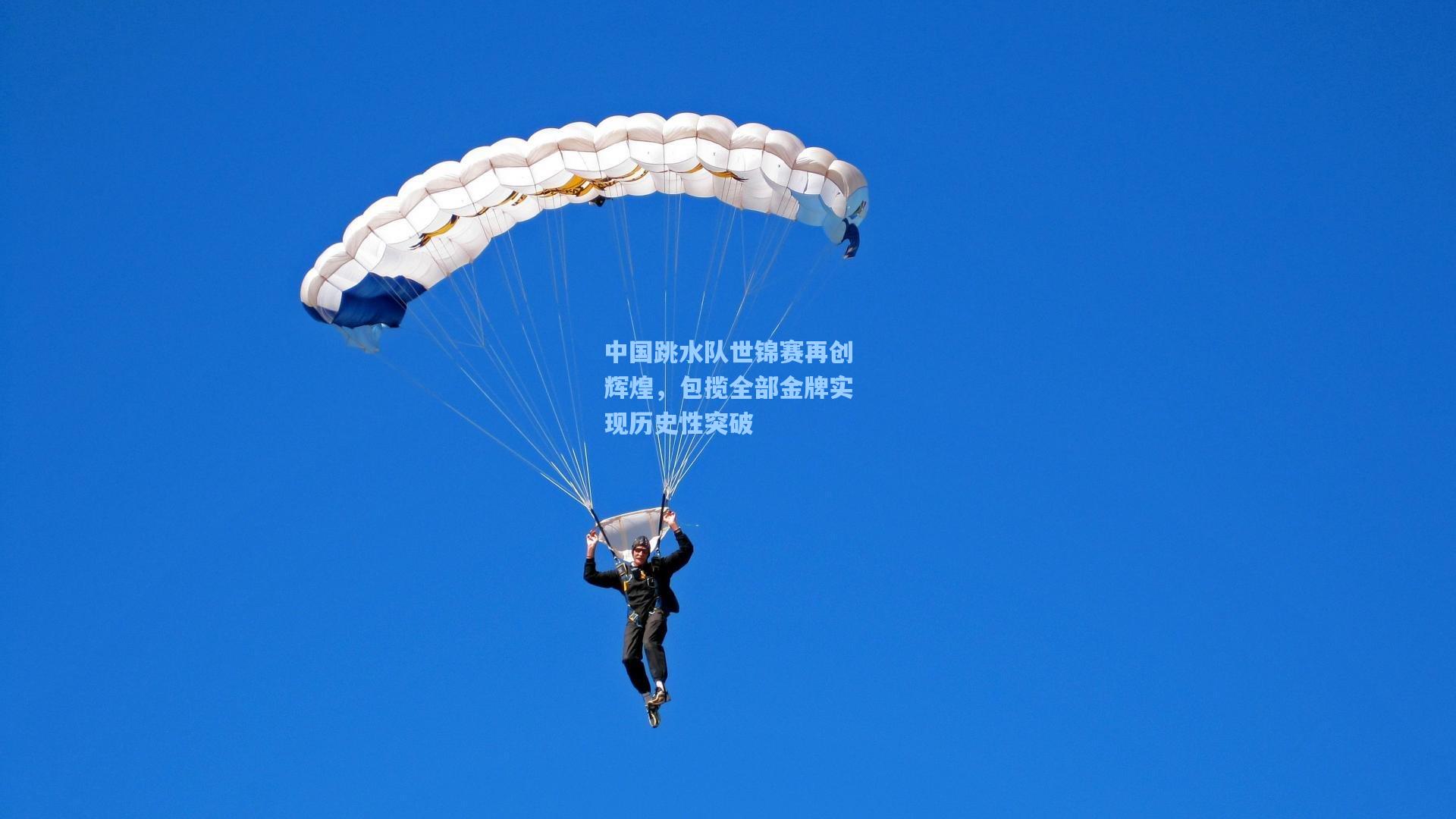 中国跳水队世锦赛再创辉煌，包揽全部金牌实现历史性突破